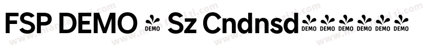 FSP DEMO - Sz Cndnsd字体转换